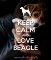 /album/photogallery/a1151053-511753138901260-719575344-n-png/